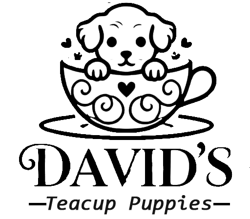 David's teacup puppies logo